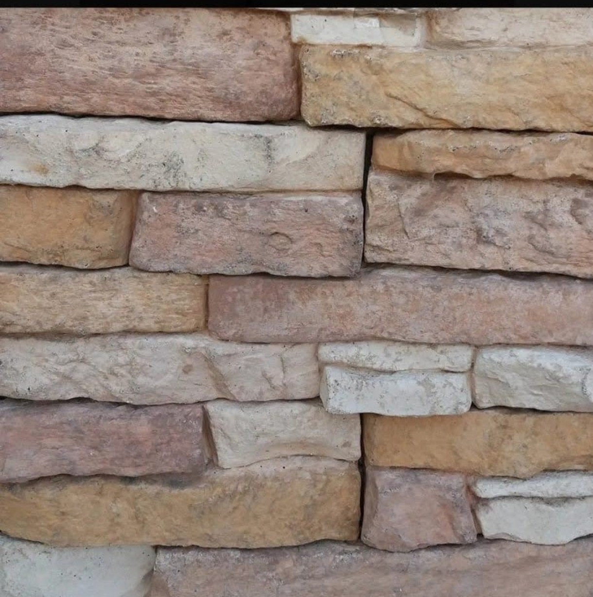 MONTE PANEL TIERRA